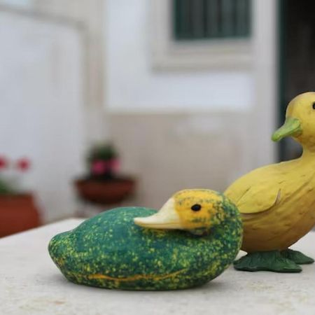 ホテル Casa Dos Limoes カルダス・ダ・ライーニャ エクステリア 写真