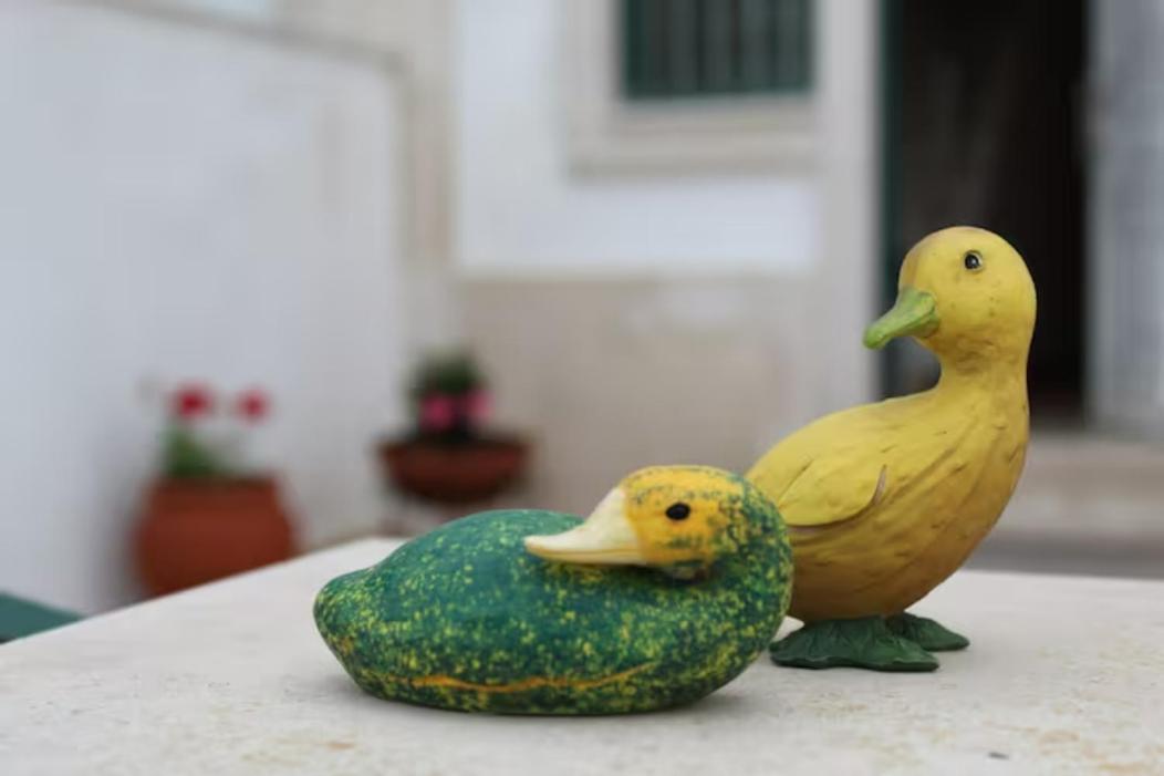 ホテル Casa Dos Limoes カルダス・ダ・ライーニャ エクステリア 写真